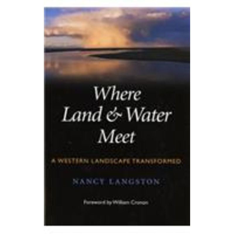 where land and water meet: a western landscape transformed