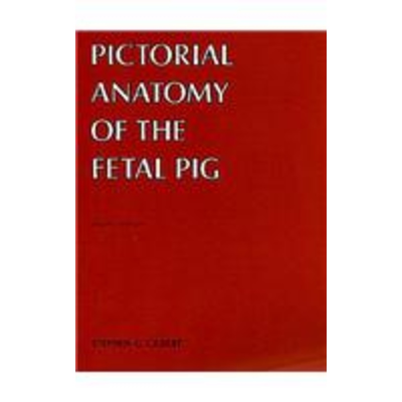 pictorial anatomy of the fetal pig