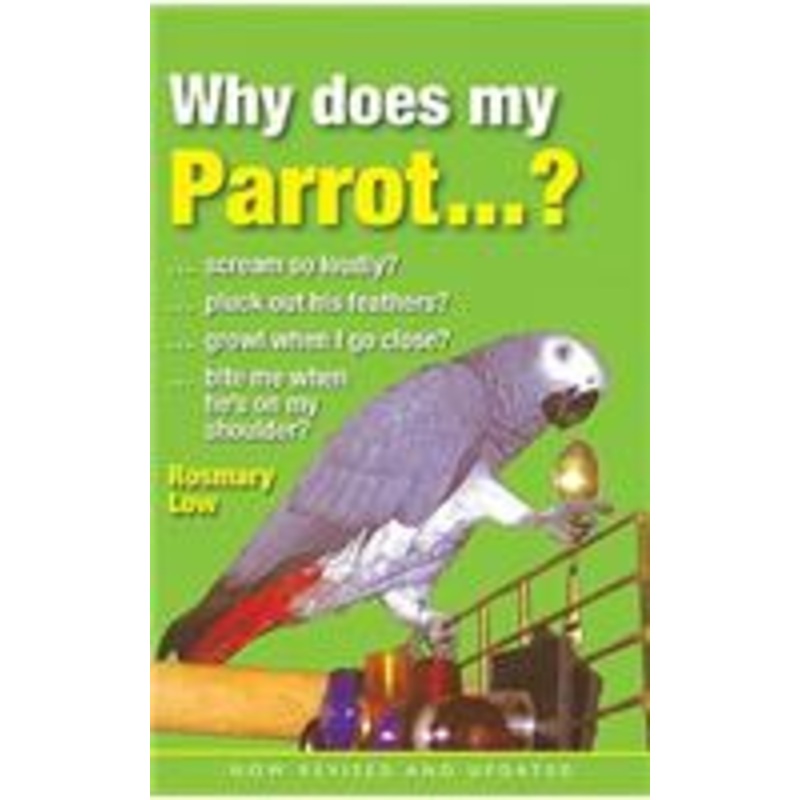 why does my parrot…?