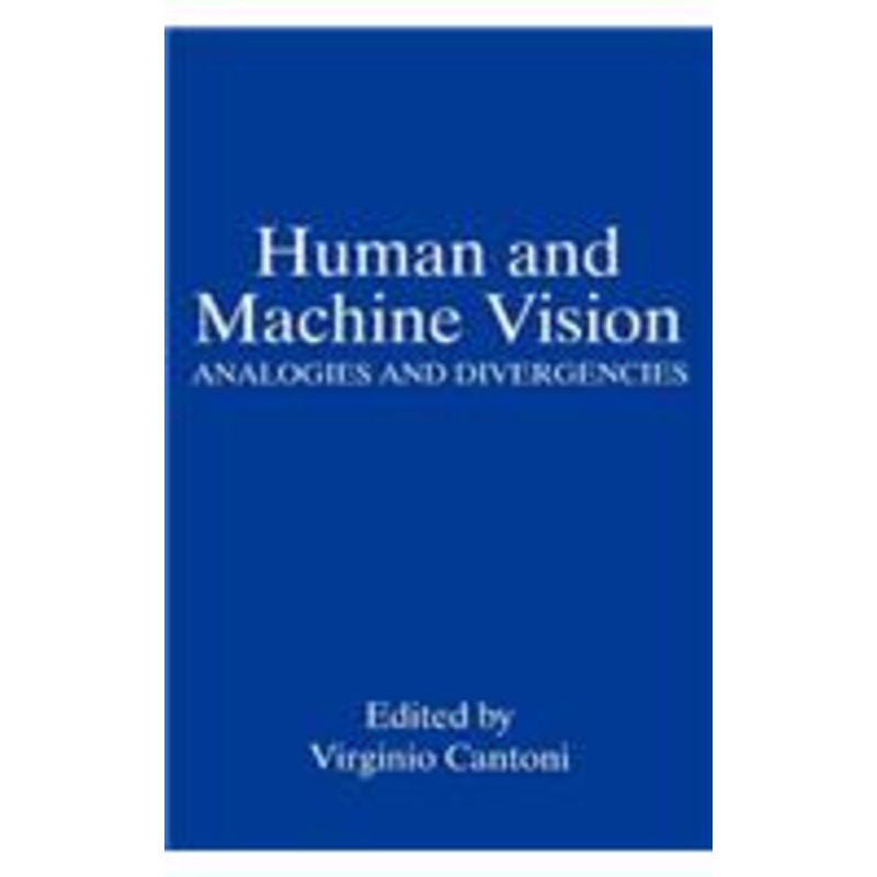 human and machine vision: analogies and divergencies