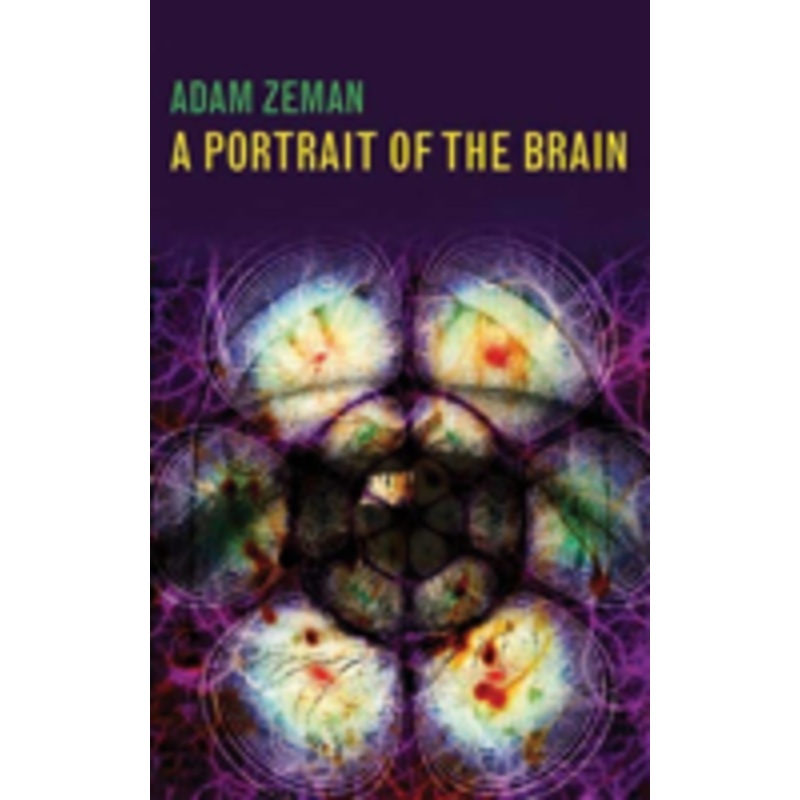 a portrait of the brain