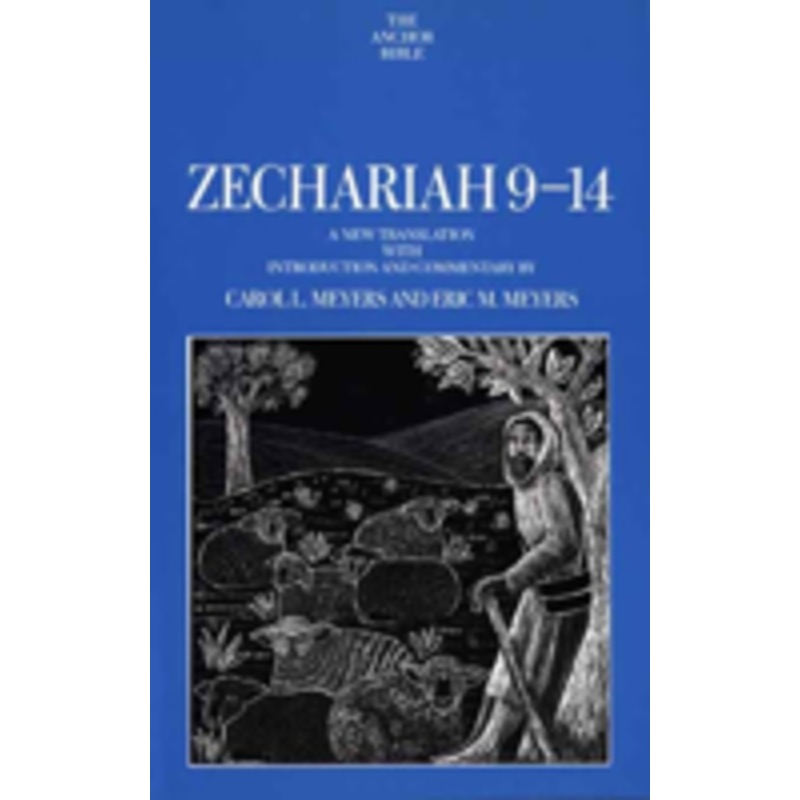 zechariah 9-14: a new translation with introduction and commentary