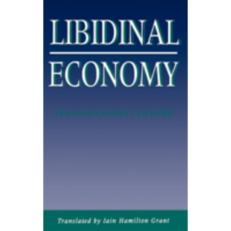 libidinal economy