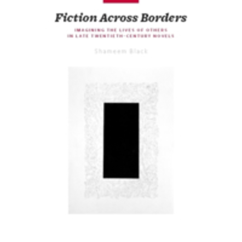 fiction across borders: imagining the lives of others in late-twentieth-century novels