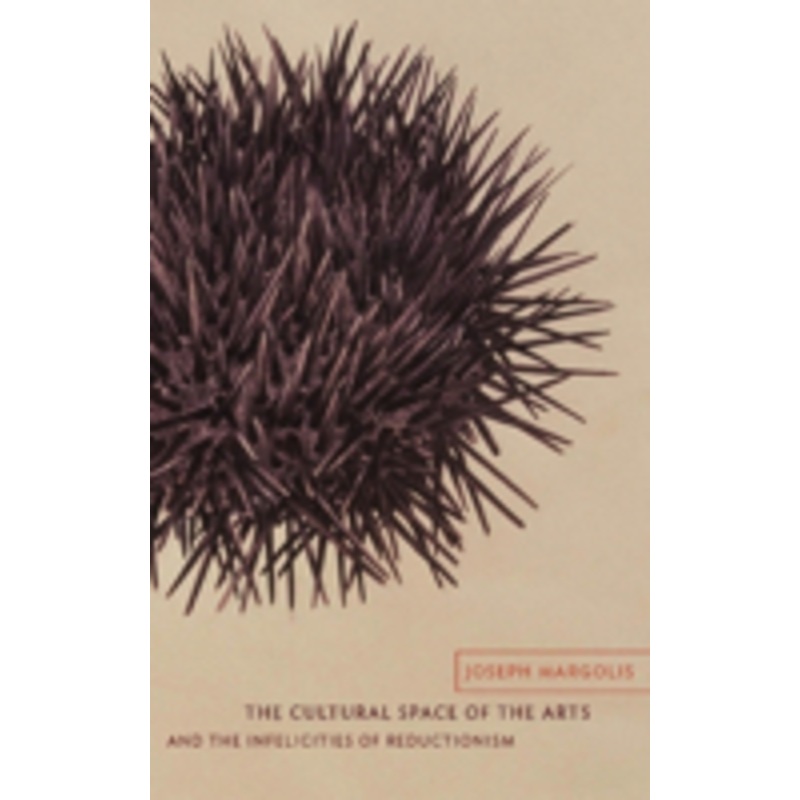 the cultural space of the arts and the infelicities of reductionism