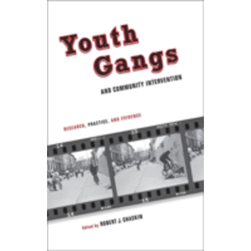 youth gangs and community intervention: research, practice, and evidence