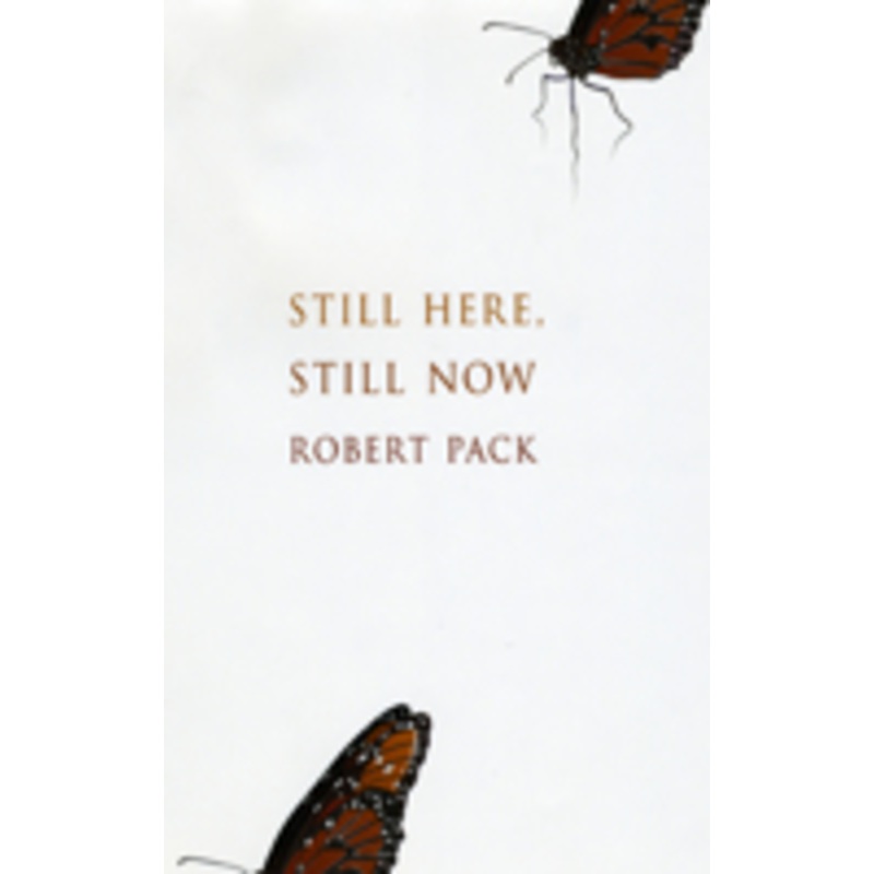 still here, still now